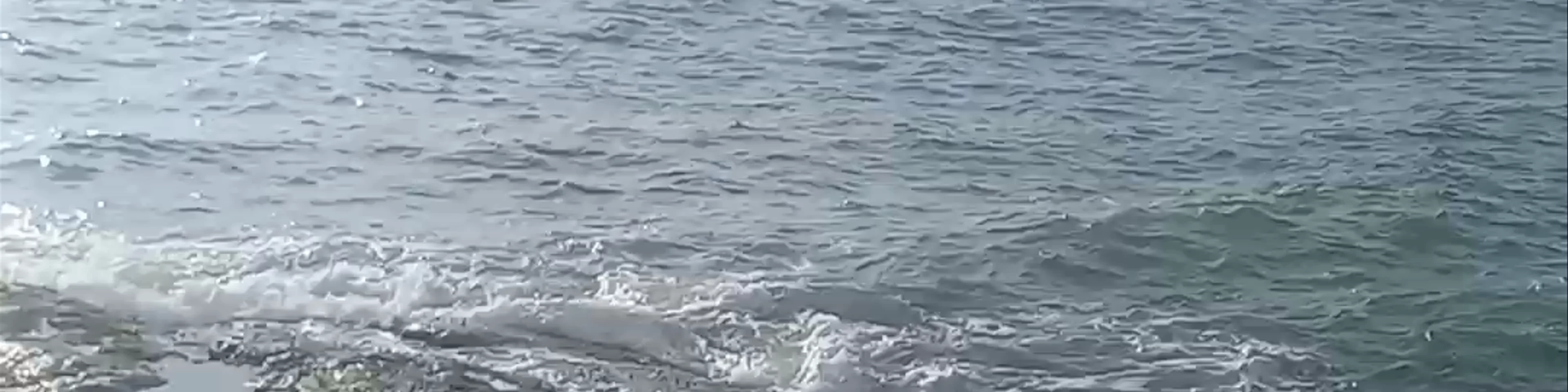 Anjuna cliff