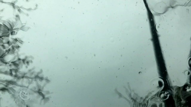 Rain falling on windshield