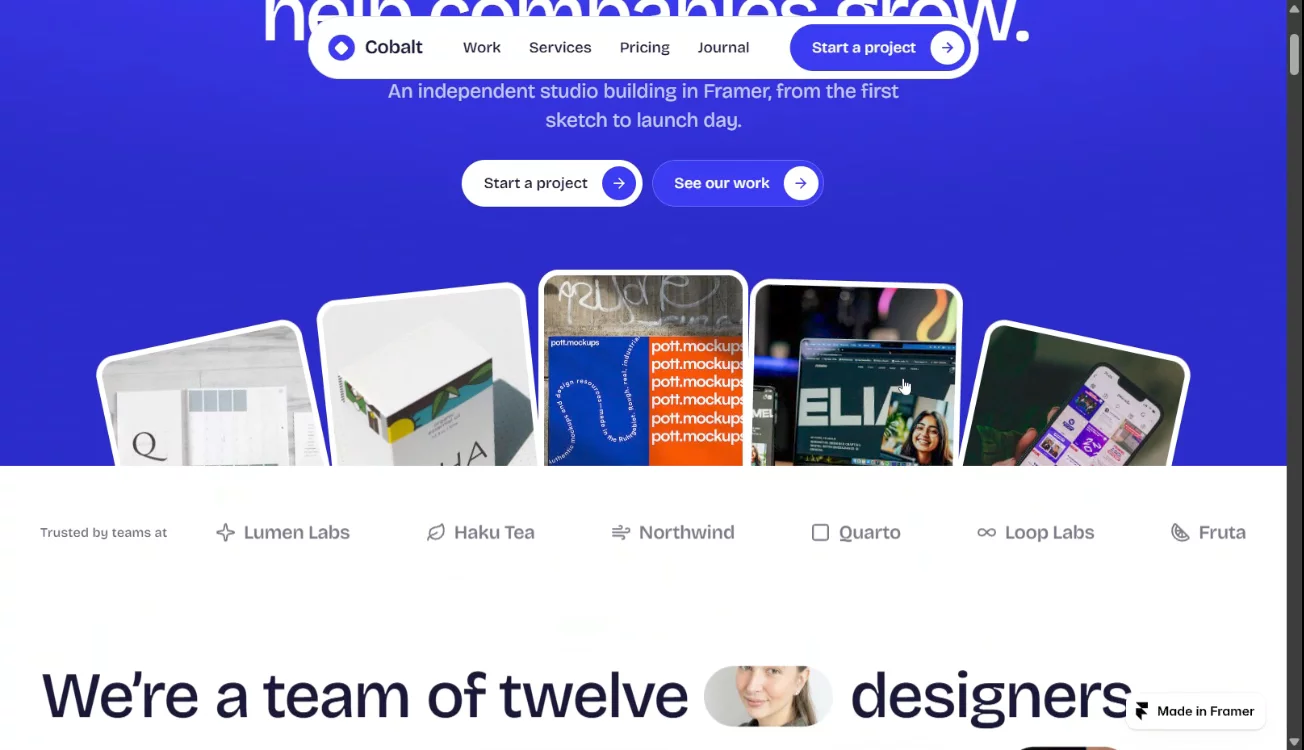 Cobalt Studio