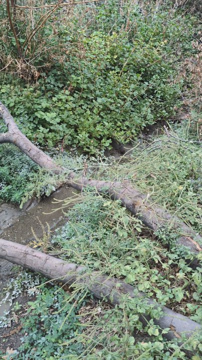 Blue Ridge Trail - Little stream - Hiking Near Me - Wrightwood, California