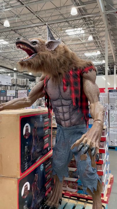 Costco - Department Stores Near Me - Rochester, New York