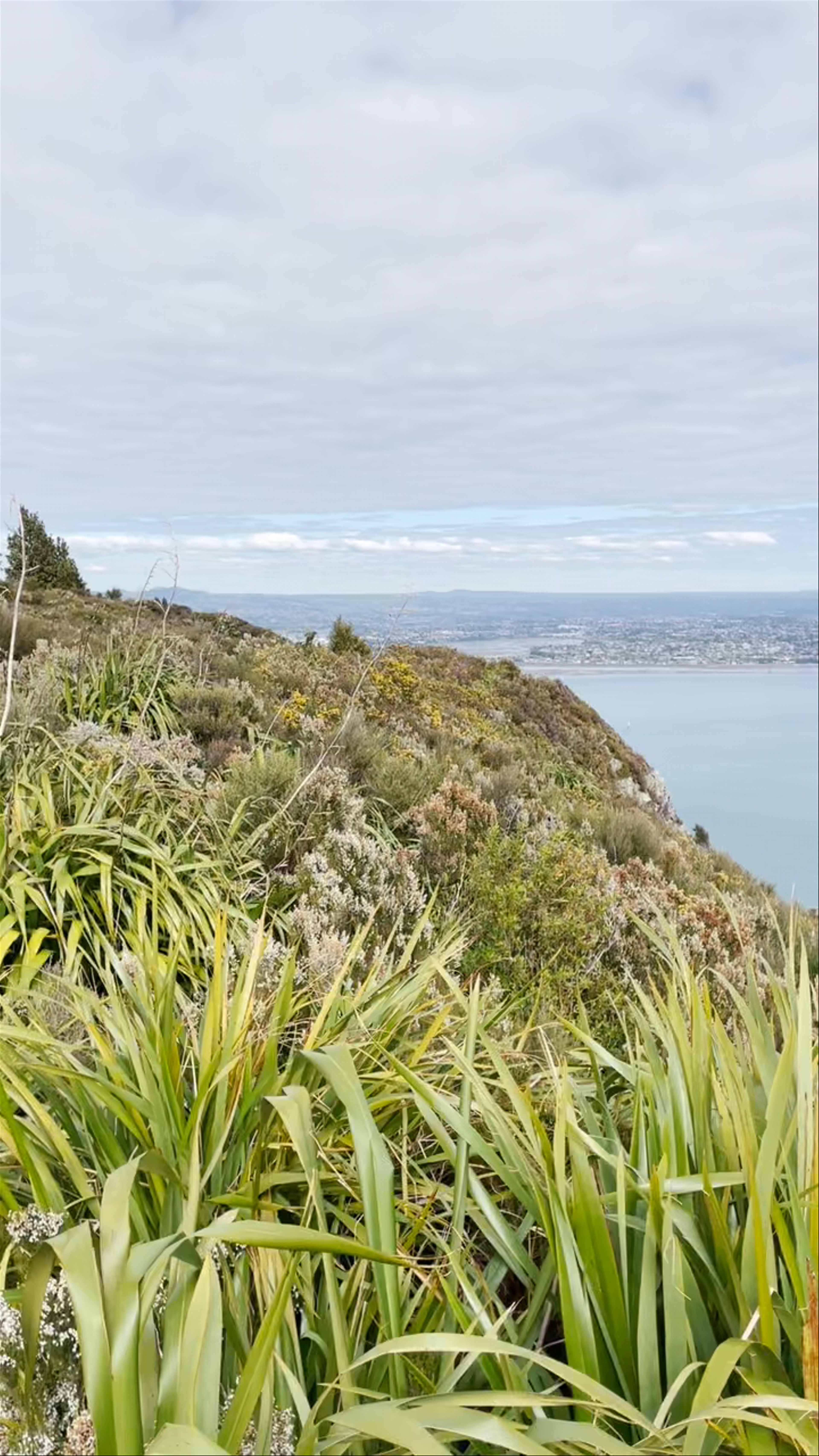 Mt Maunganui seaview Marine Parade