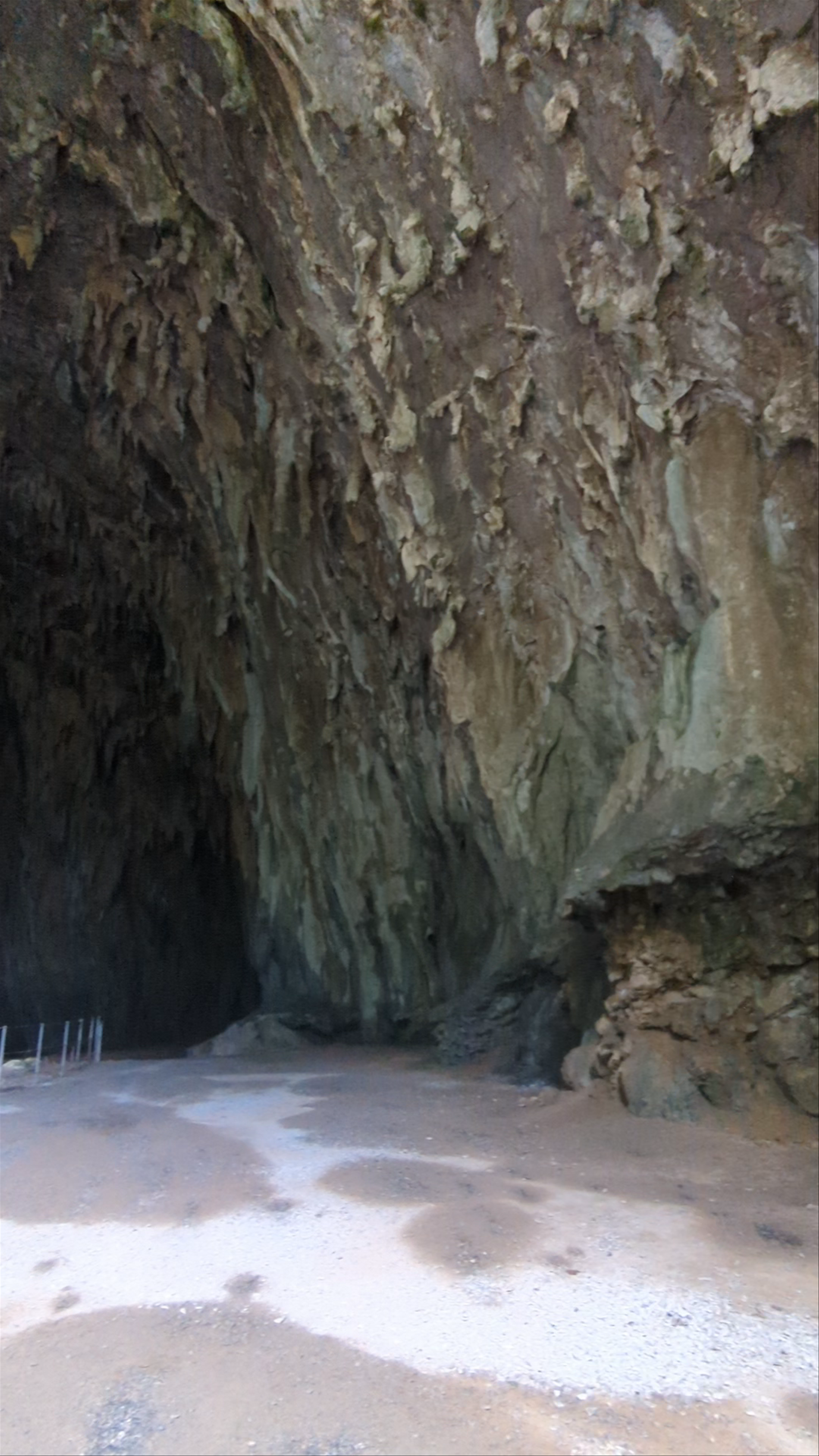 Skocjan Caves