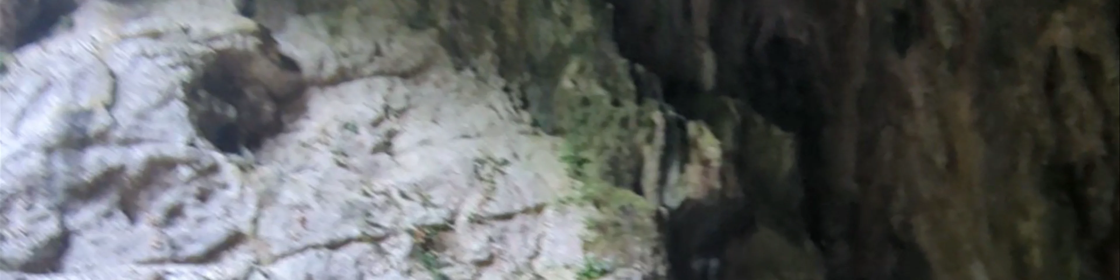 Skocjan Caves