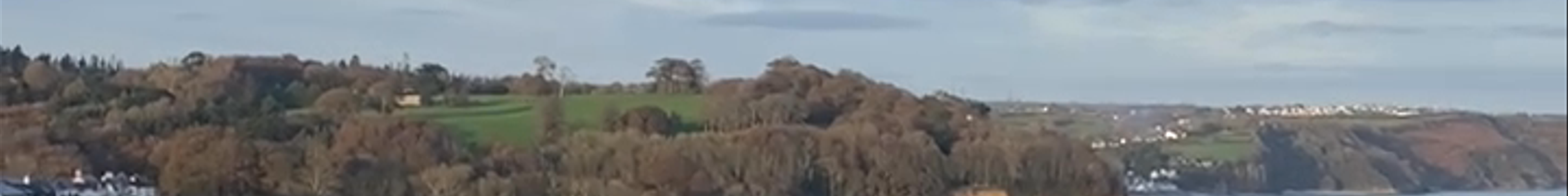 Tours & experiences in Saundersfoot