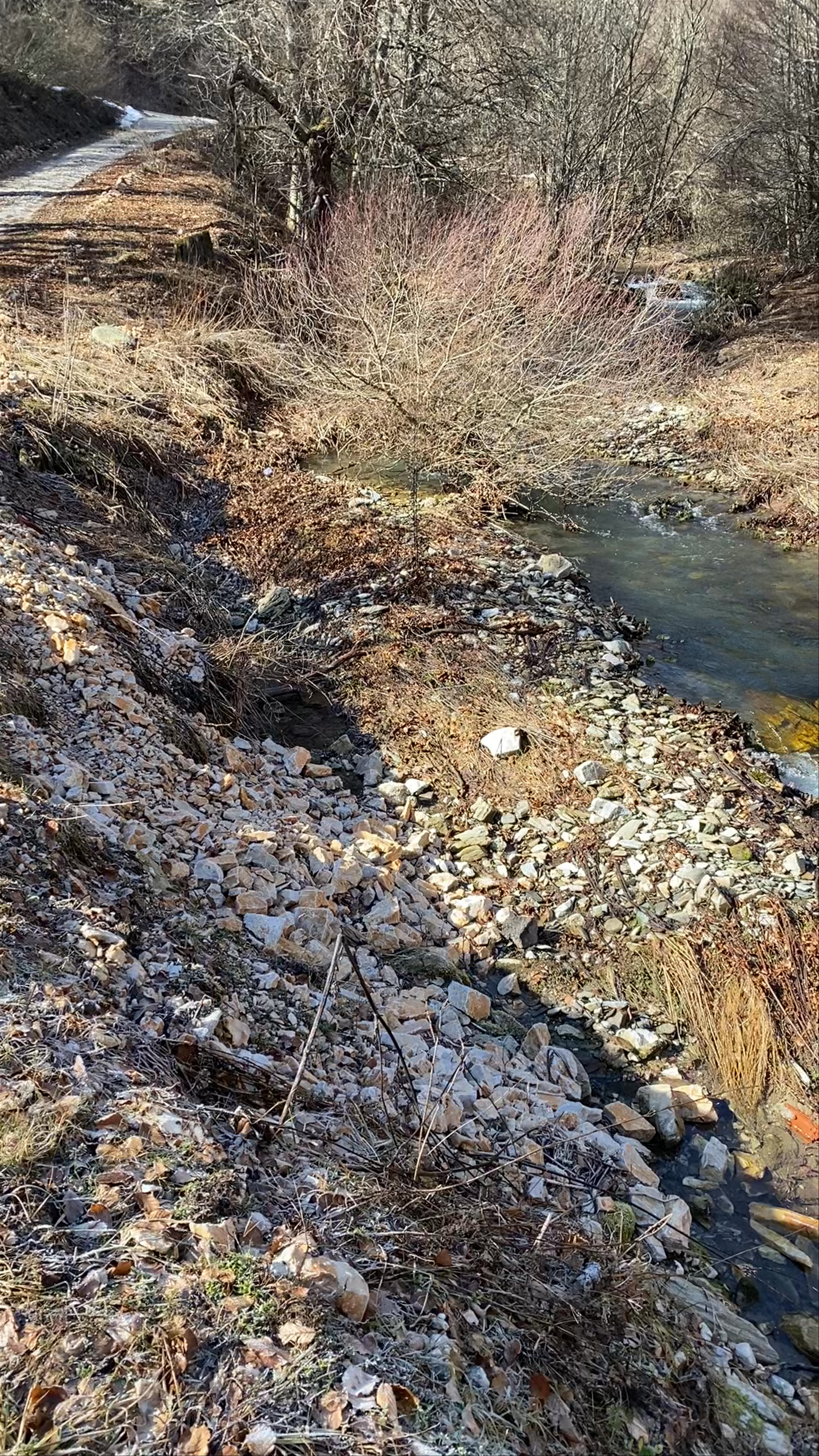 Λυώμενο • Μονοπάτι Στραβοπόταμου: Winter Stream Walk in Livadia, Greece