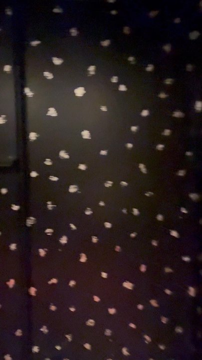 Frog - Super cute bathroom - Wine Bars Near Me - Brooklyn, New York