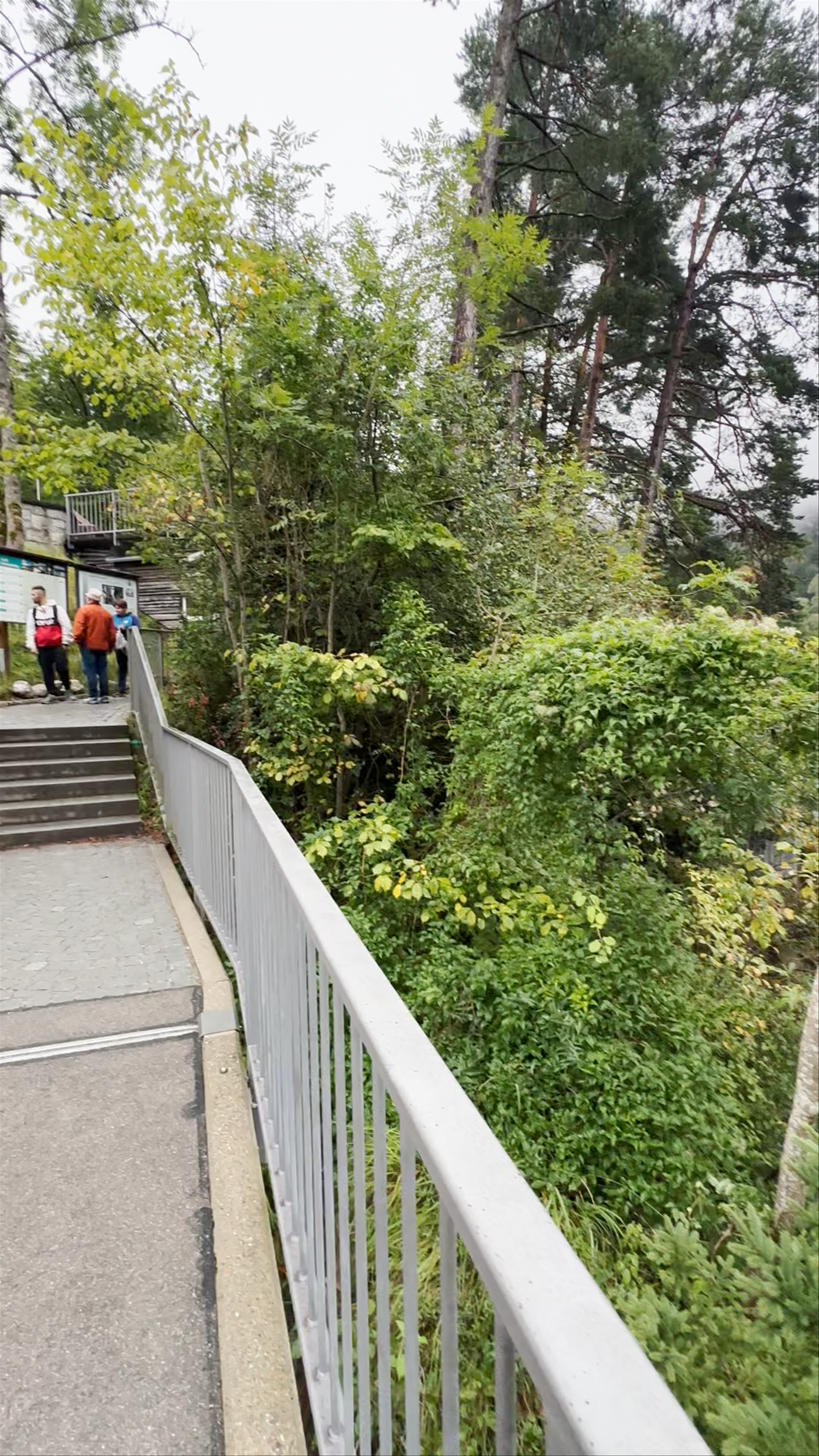 Maxsteg Waterfall and Lush Forest Walk in Füssen, Bavaria