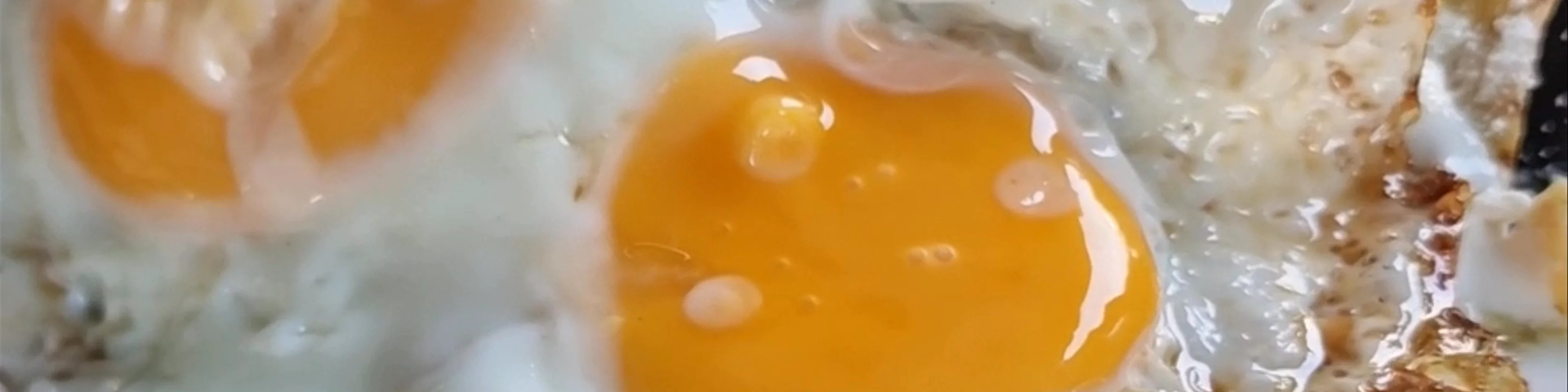 Comida y Café
