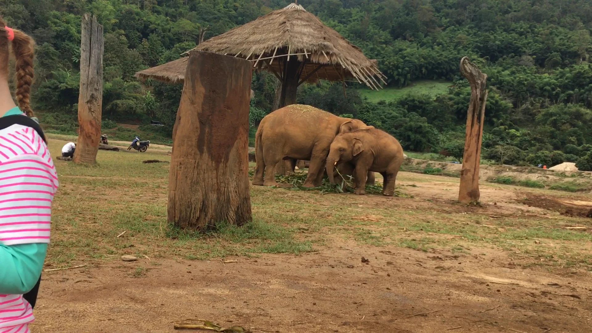 Thailand, Phetchabun