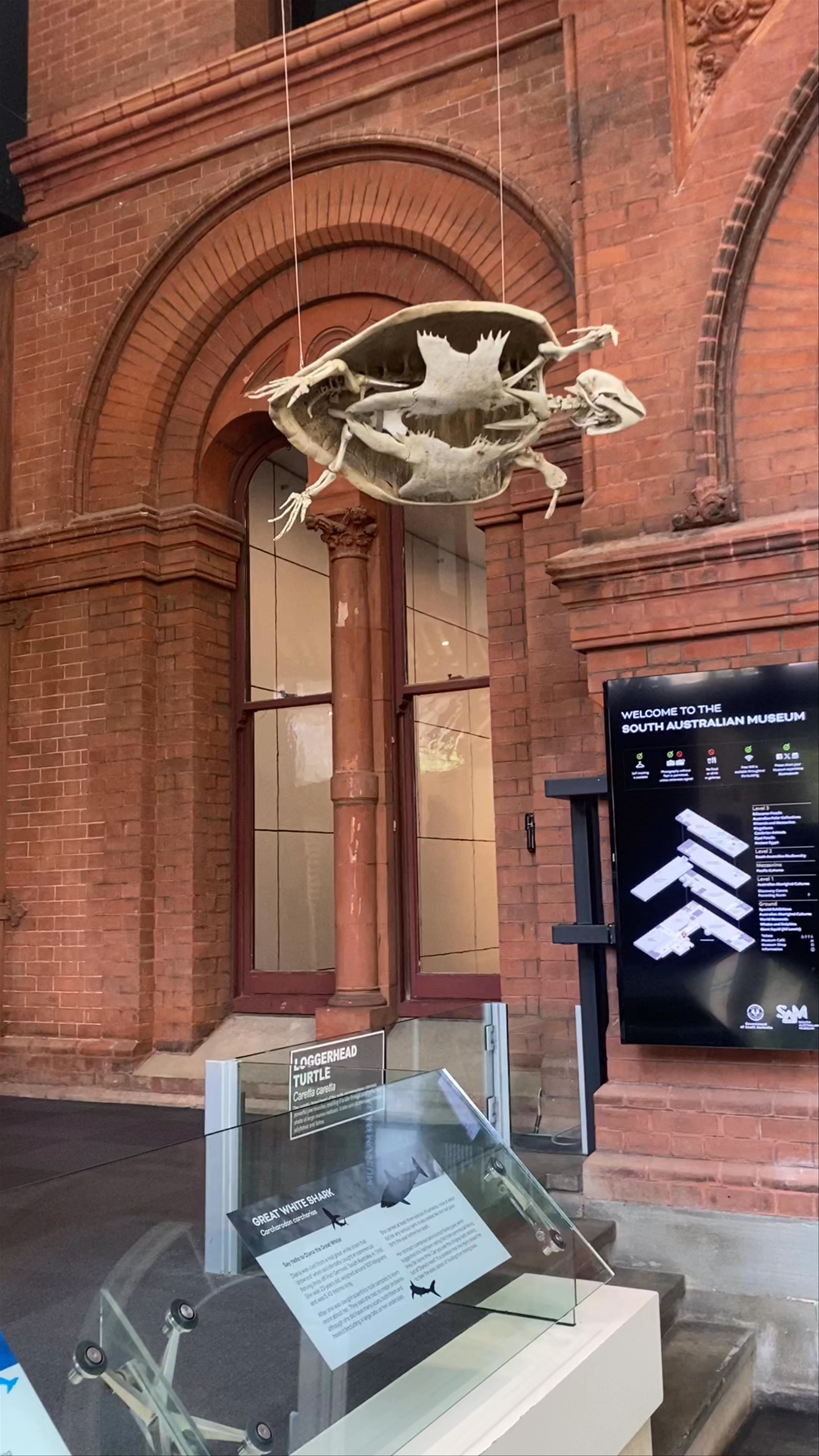 South Australian Museum