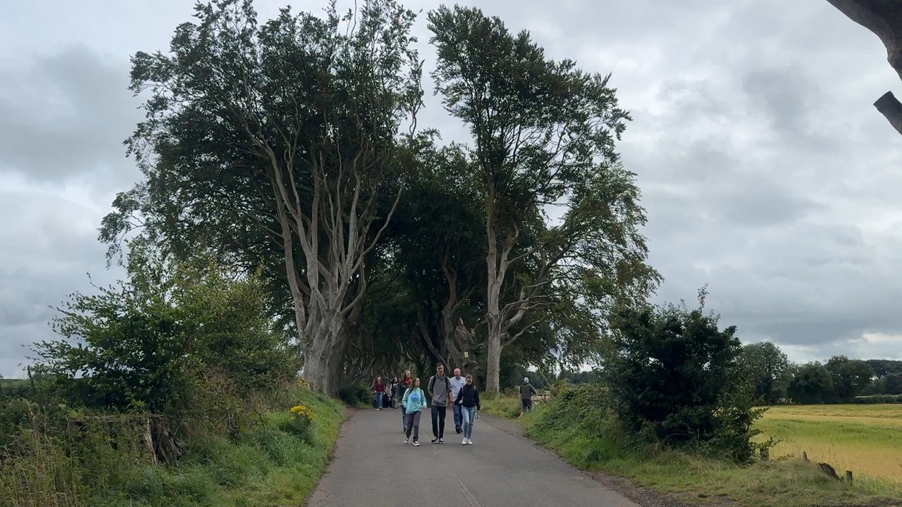 The Dark Hedges - Landmarks & Historical Buildings Near Me - Antrim, BLY