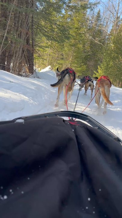 Ultimate Dog Sledding Experience - Taking off was exciting!!! - Tours Near Me - Canton, Maine