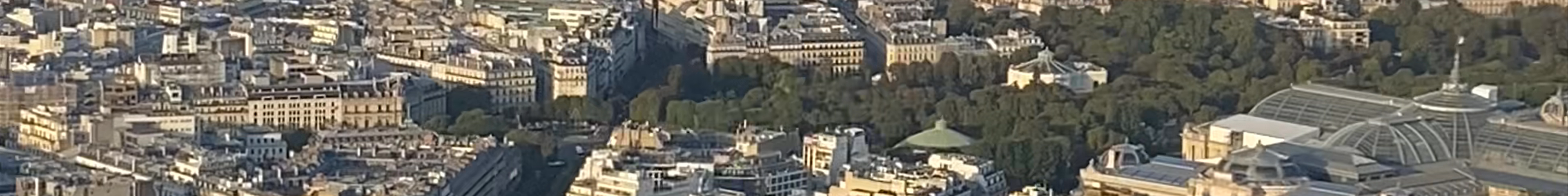 Tours & experiences in France