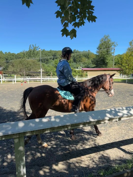 SJ Riding Camp - Horseback Riding Near Me - Ellington, Connecticut