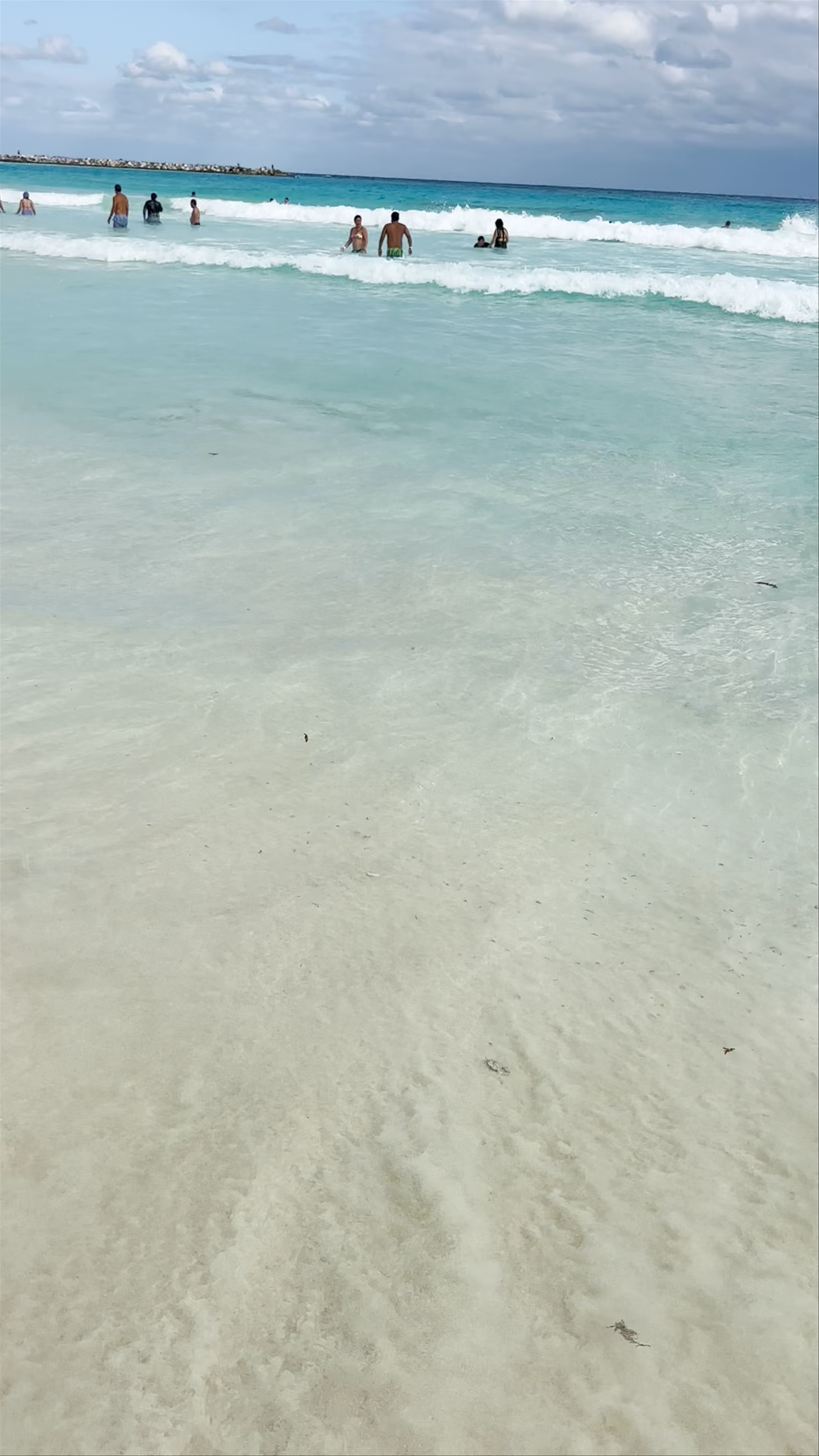 Playa Forum