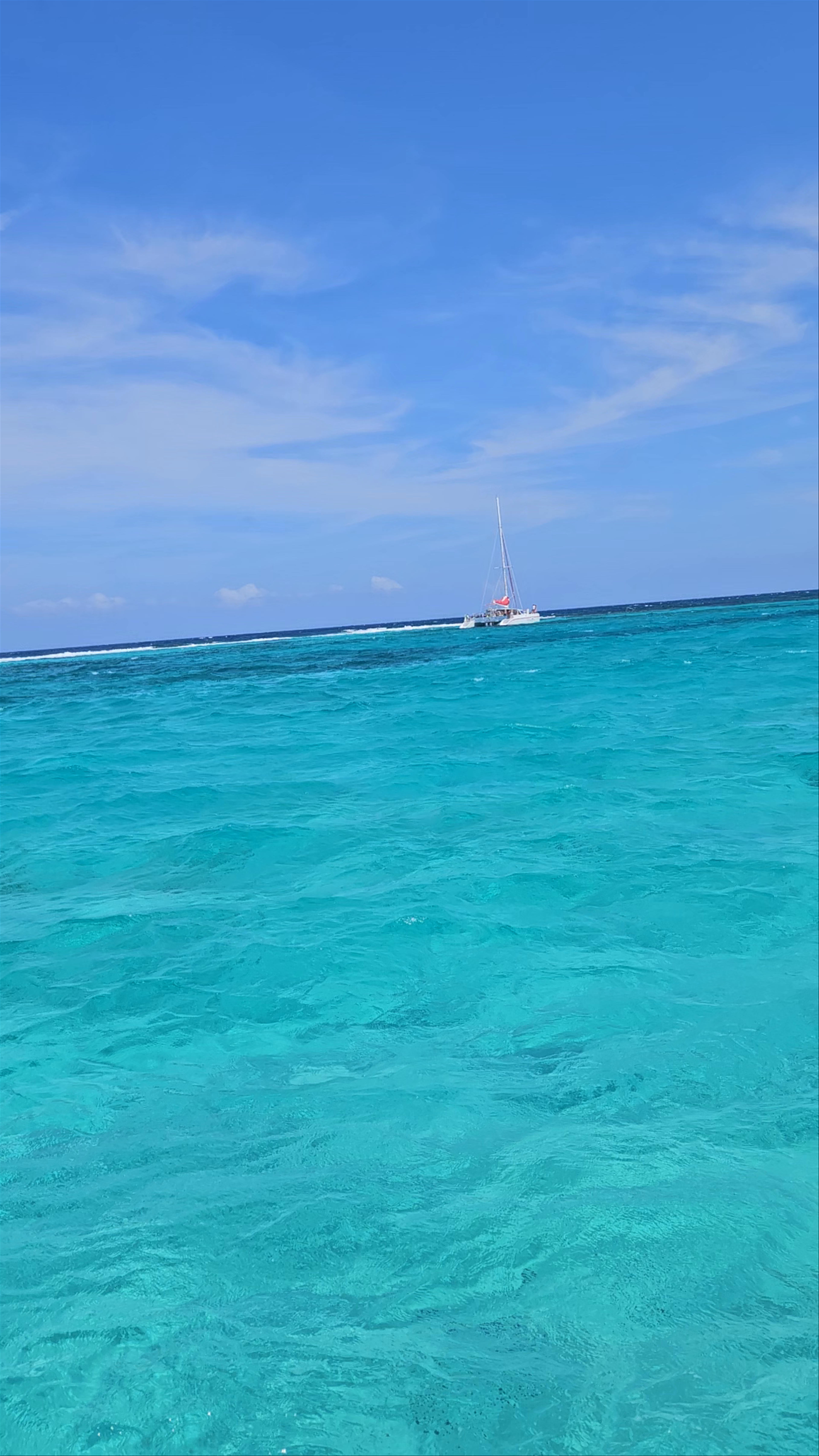 Stingray City Cayman Islands