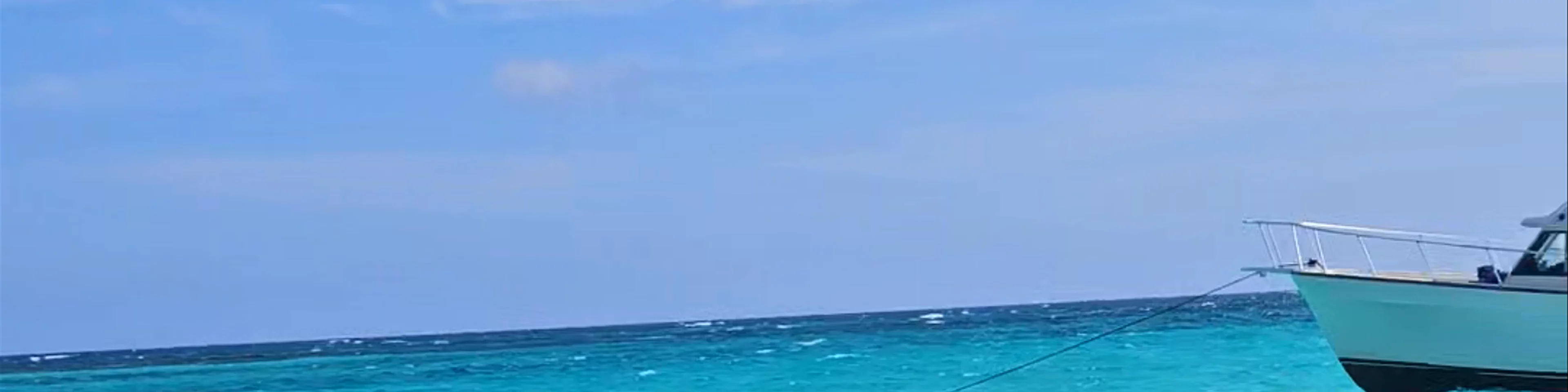 Stingray City Cayman Islands