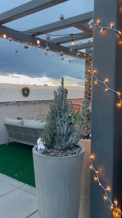 Rare Bird - Halcyon on Ice - Wine Bars Near Me - Denver, Colorado