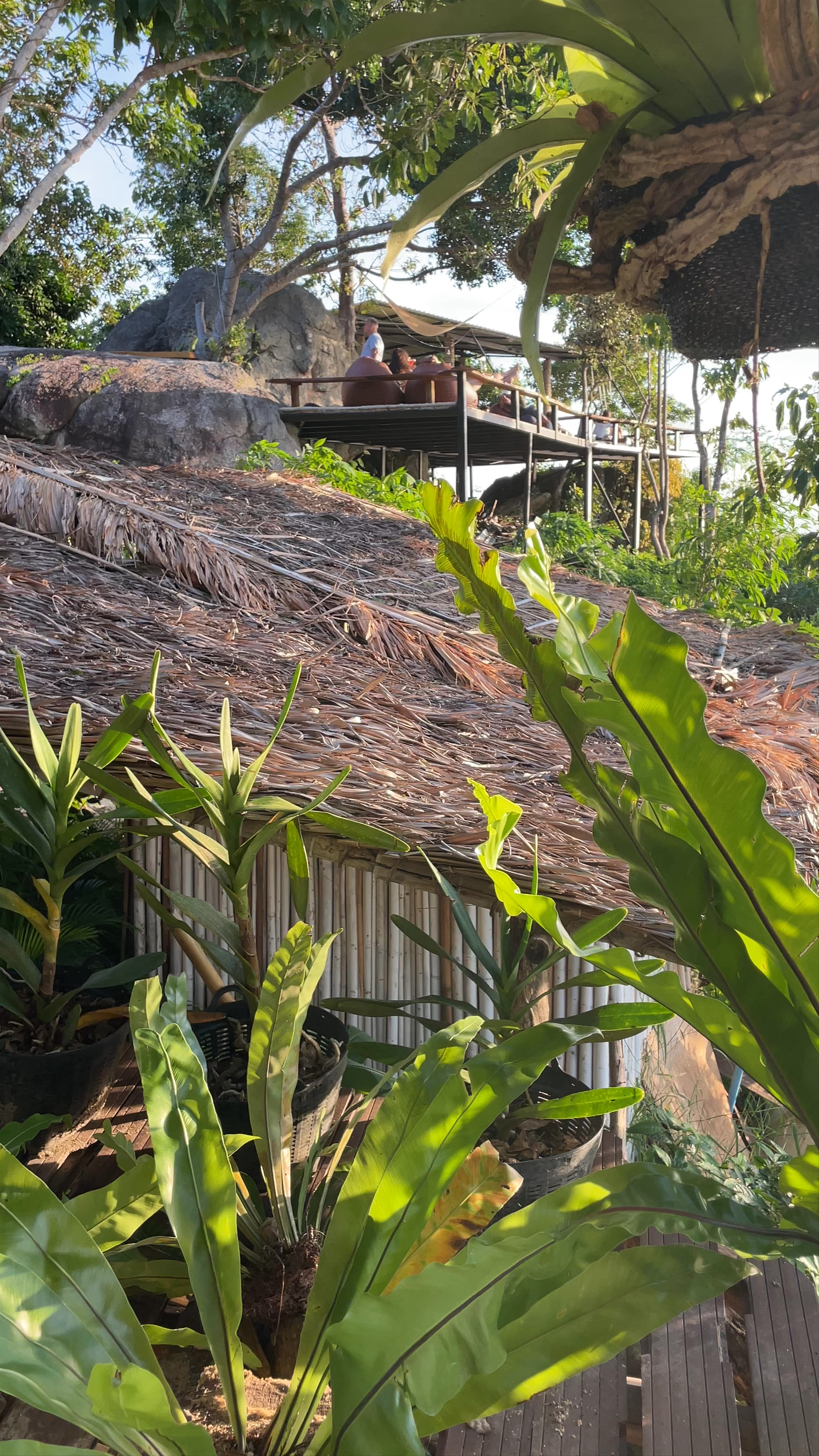 Secret Bar เกาะเต่า Ko Tao