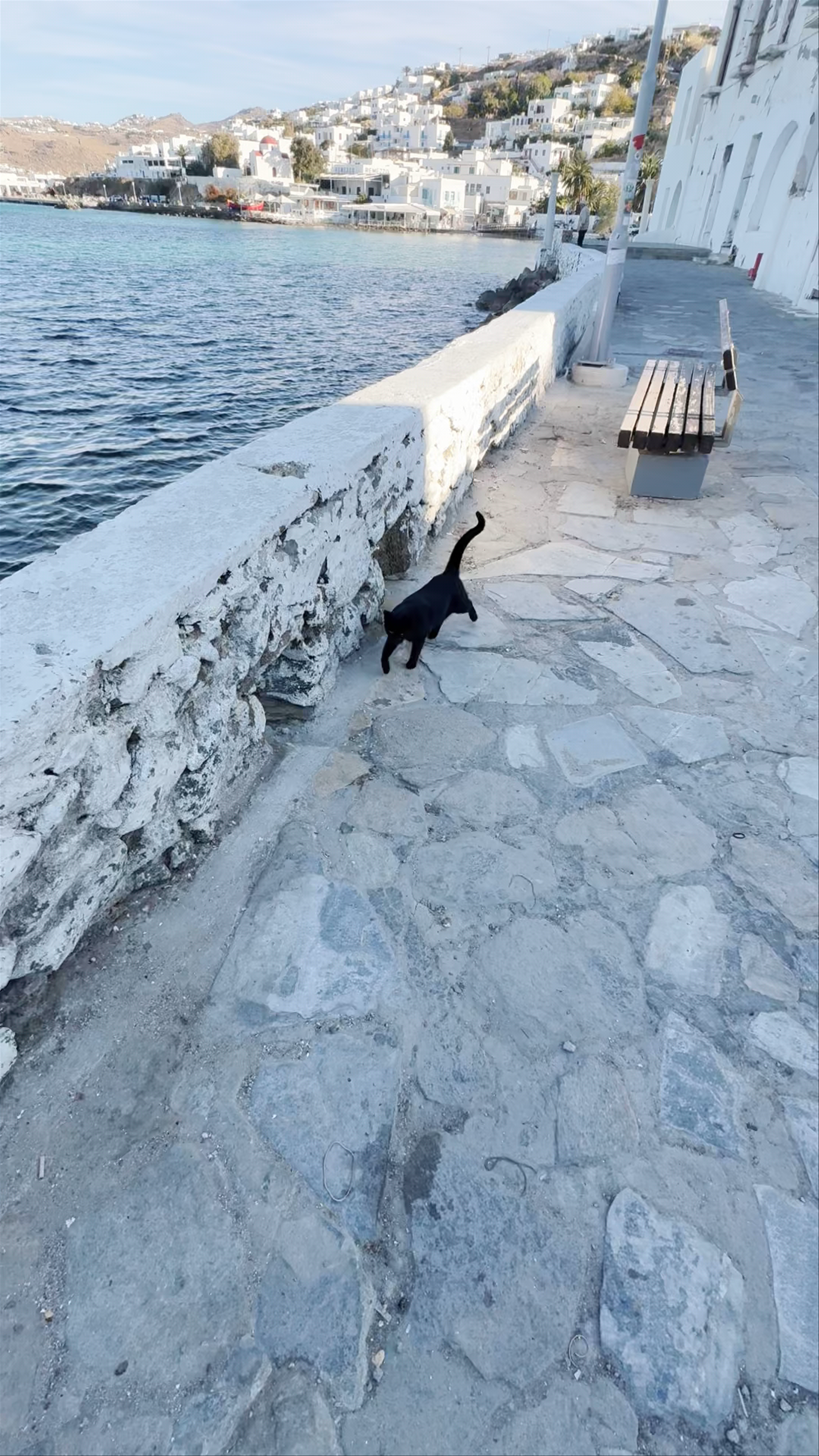 Mykonos Harbour View
