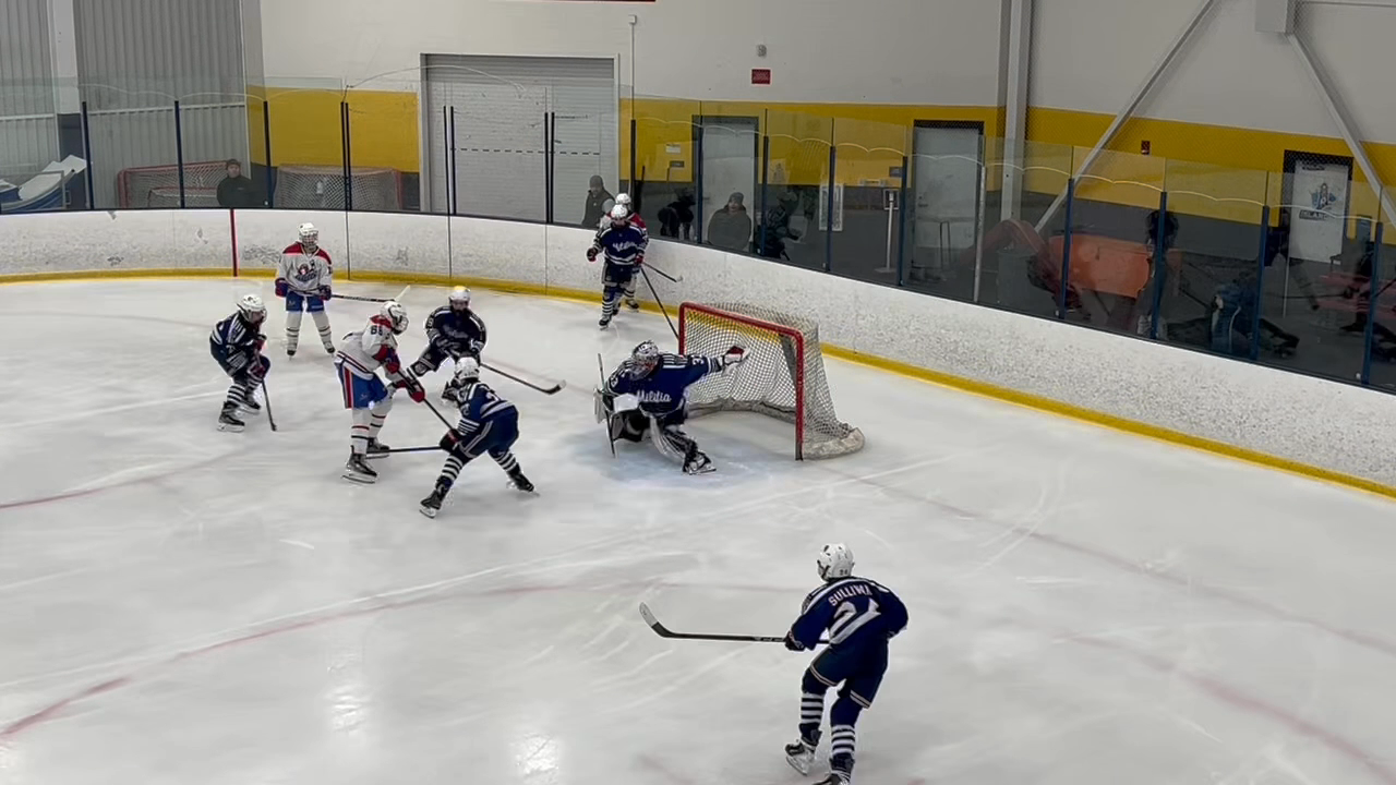 Great Stops against LI Gulls 2026
