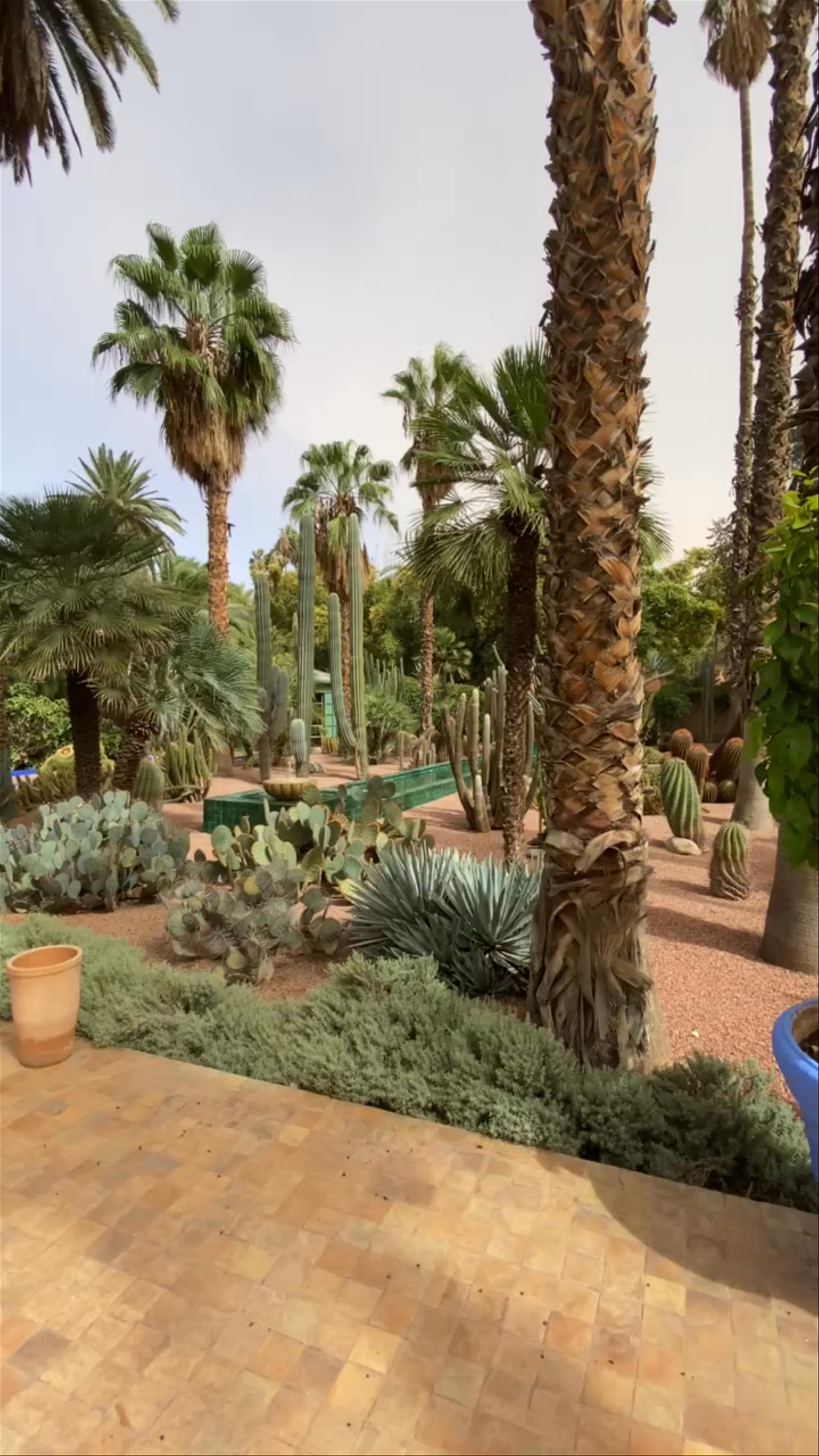 Jardin Majorelle