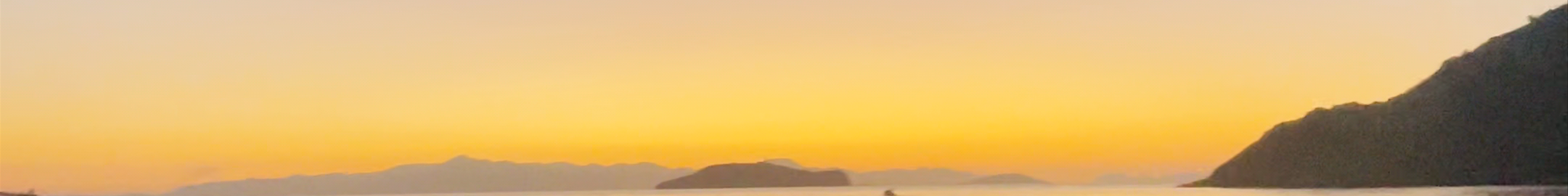 Tours & experiences in Turgutreis