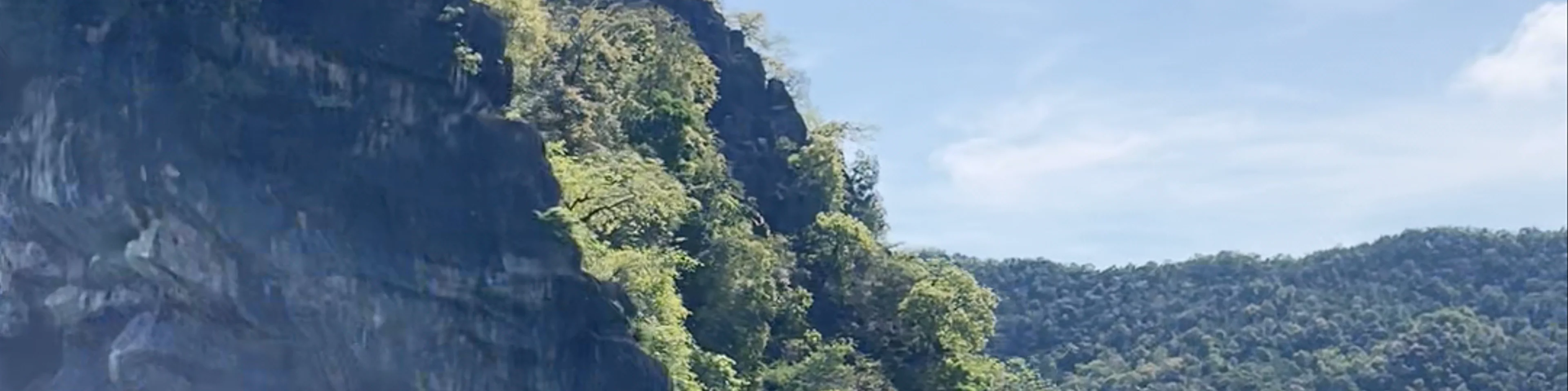 I Mangroove Langkawi