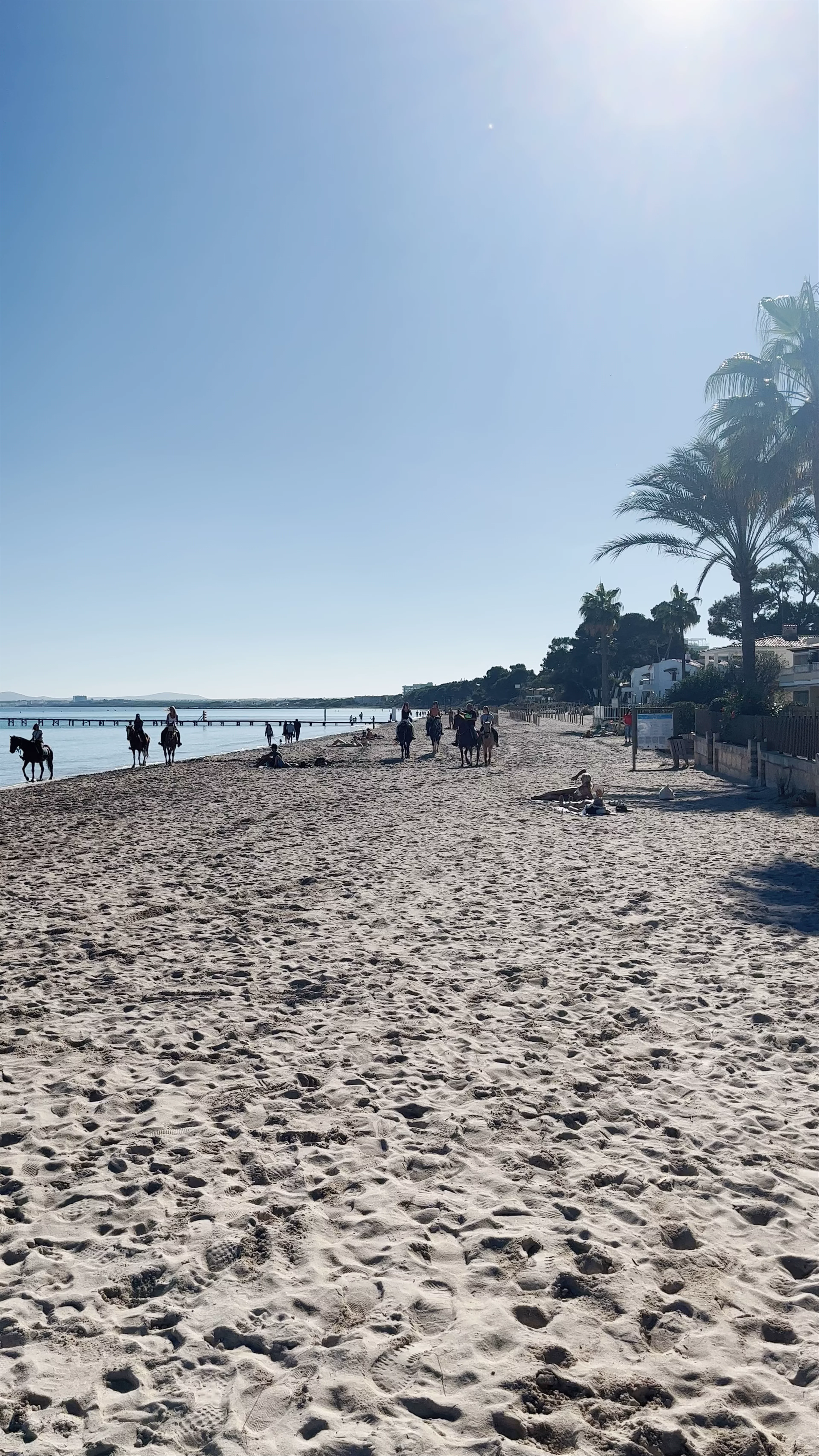 Playa De Muro, Carrer de la Ginesta, Alcúdia, Spain