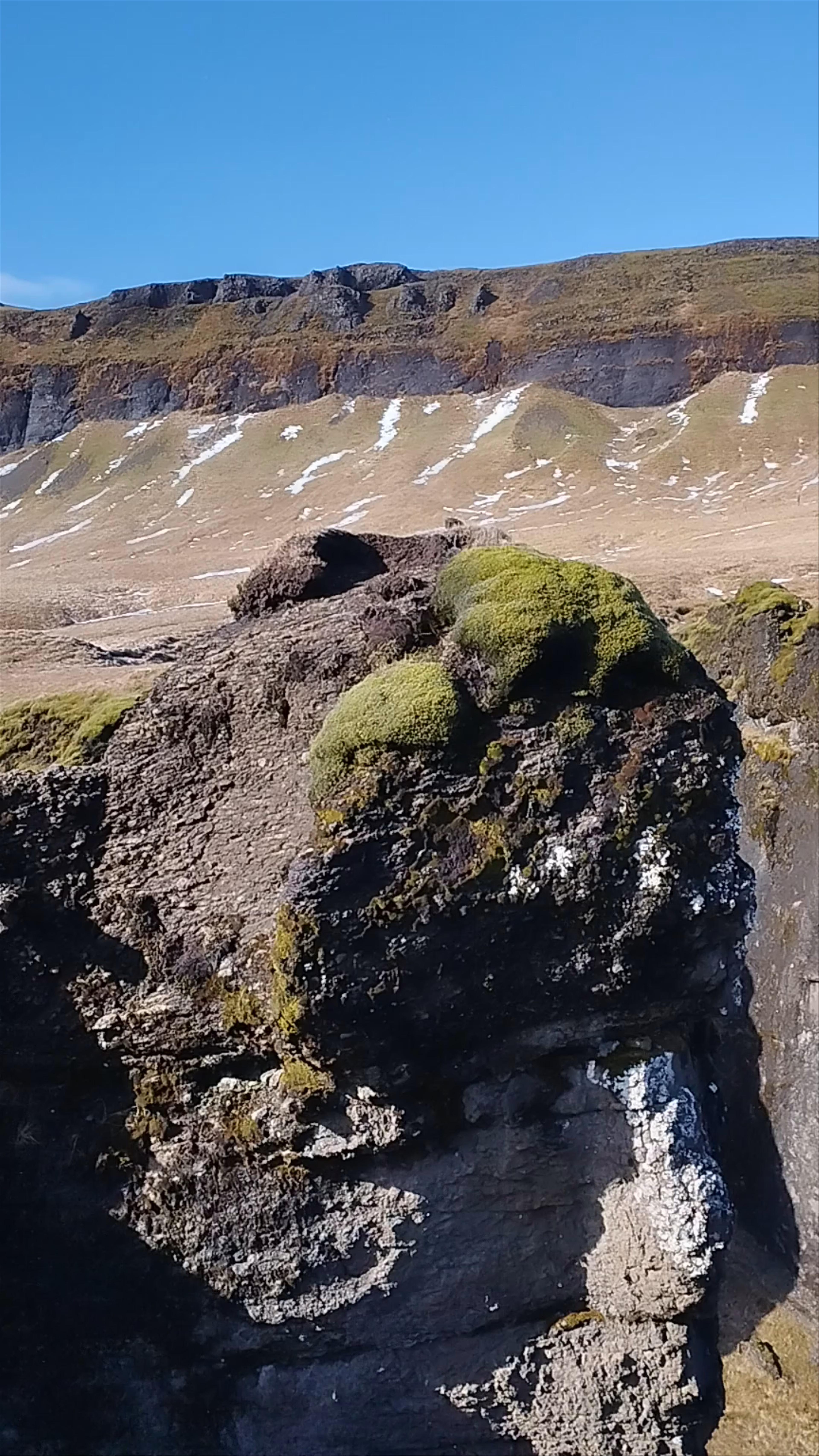 Fjarðarárgljúfur Viewpoint