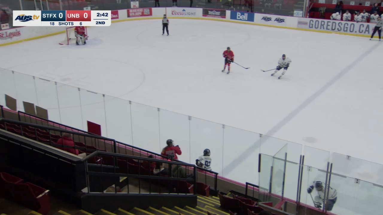 Playoff goal