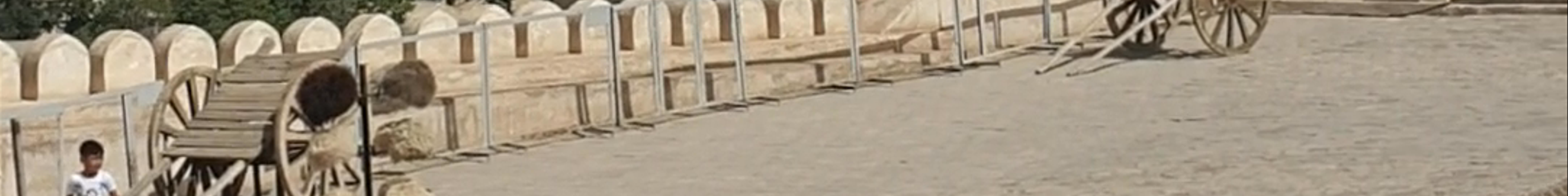 Tours & experiences in Bukhara