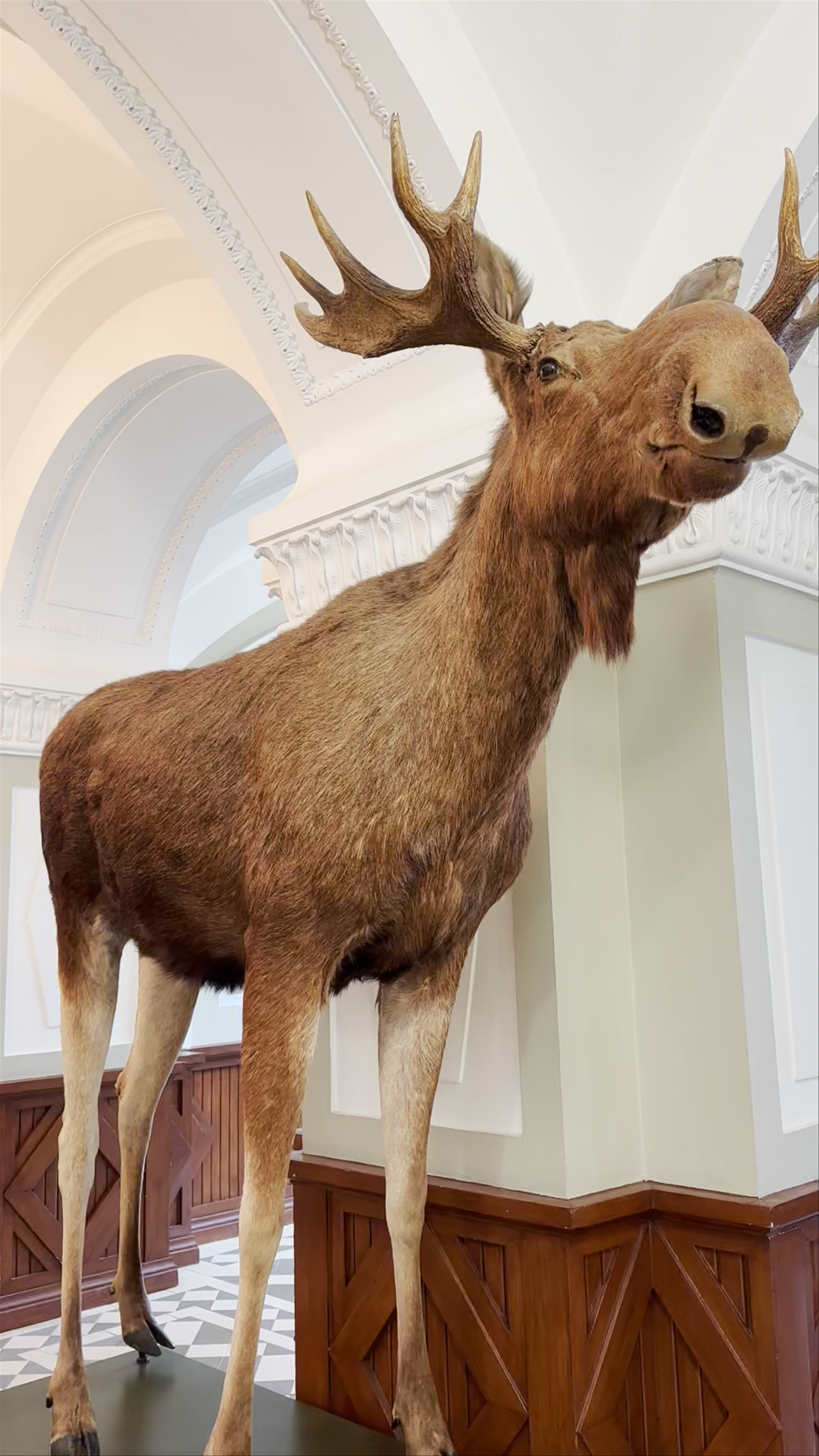 Immersive Journey Through Museo de Ciencias Naturales, Helsinki