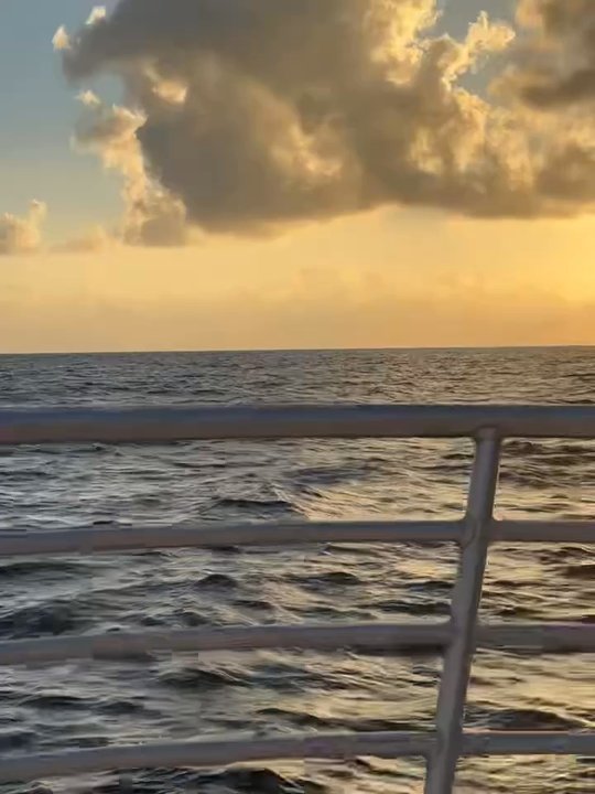 Dive Oahu - Snorkeling Near Me - Honolulu, Hawaii