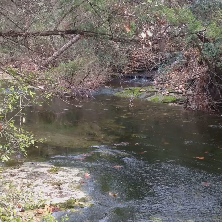 Spicewood Valley Trail - Silence but for the spring - perfect trail! - Hiking Near Me - Austin, Texas