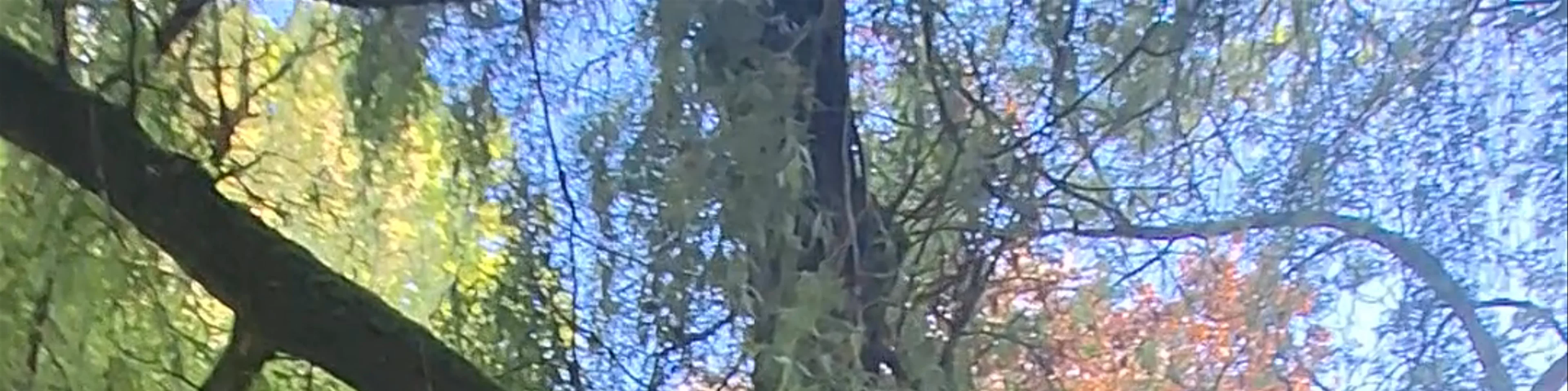 Source de la Douix