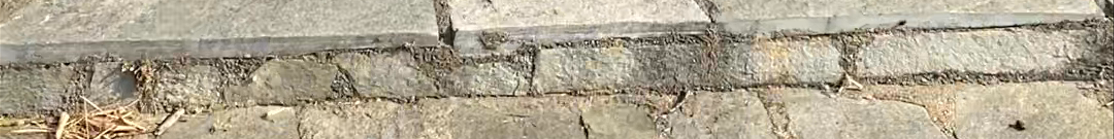 Tours & experiences in Nymfópetra