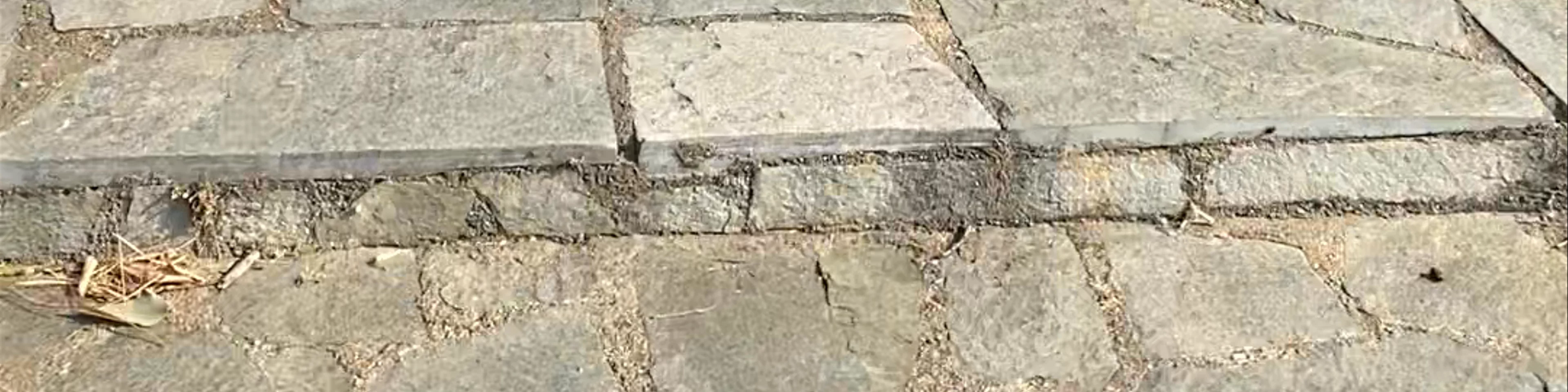 Νυμφόπετρες
