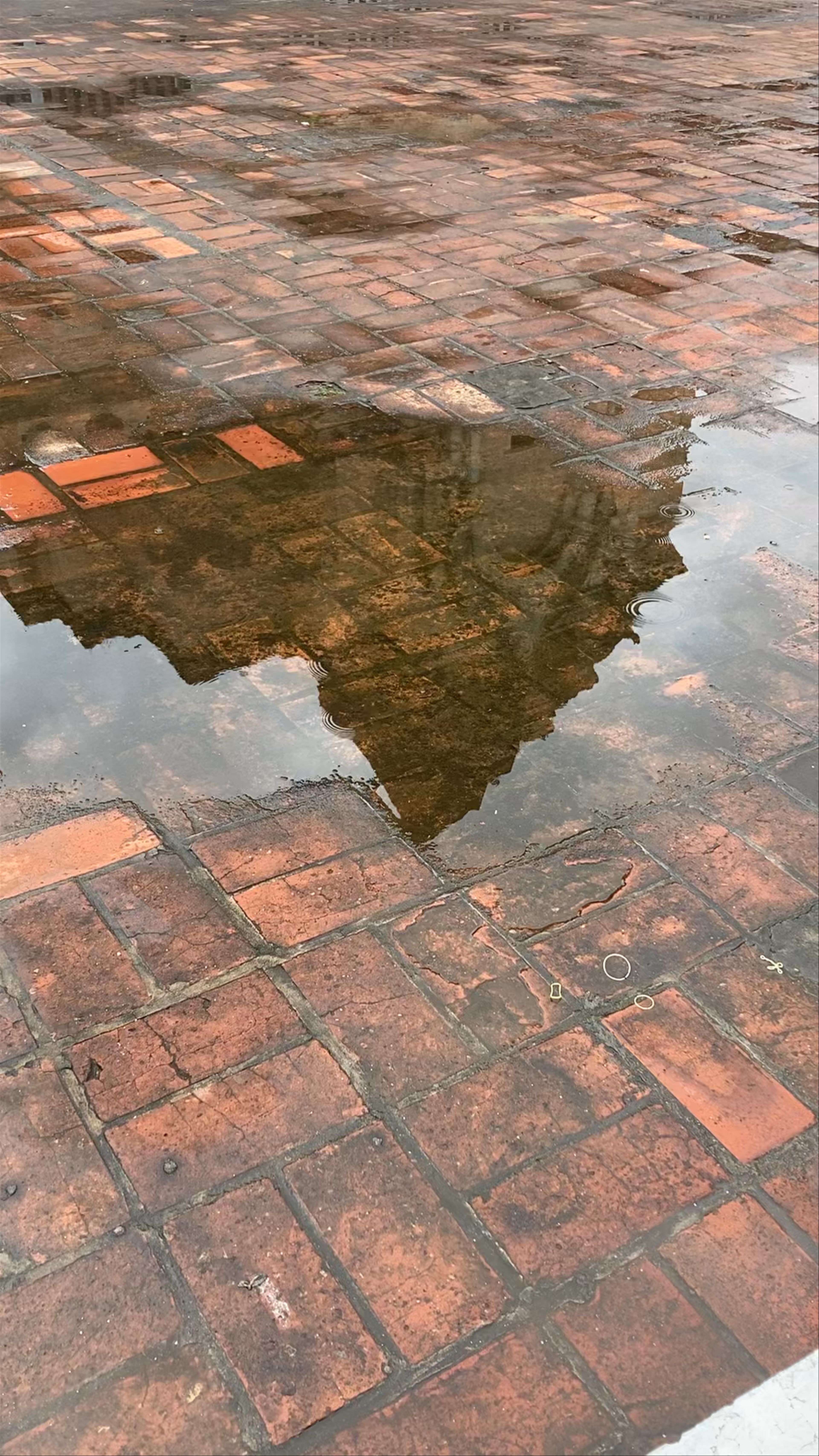 Wat Chedi Luang: Reflections of Ancient Lanna Splendor in Chiang Mai
