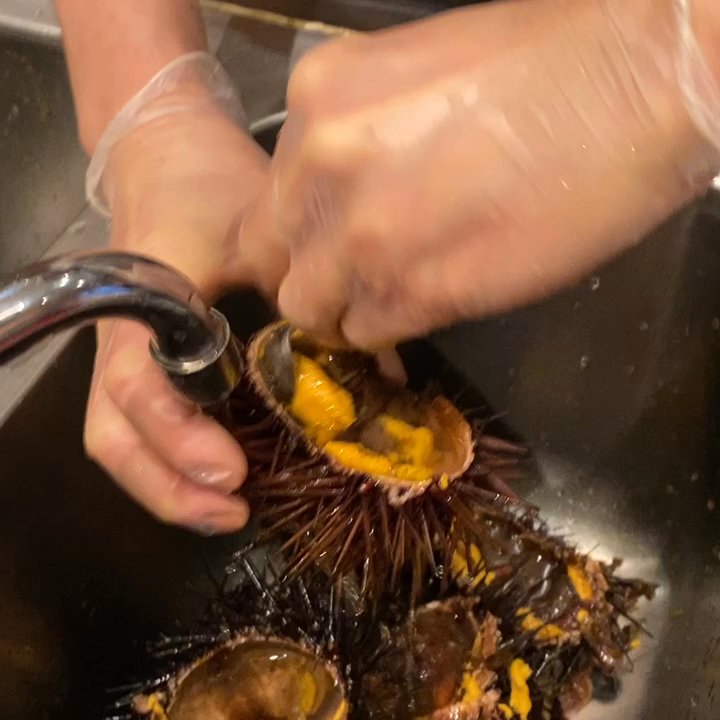 Video thumbnail 6 more videos