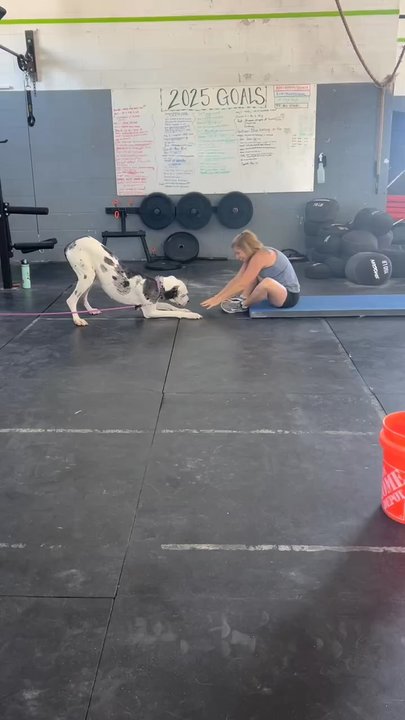 CrossFit Covalence - Interval Training Gyms Near Me - Louisville, Kentucky