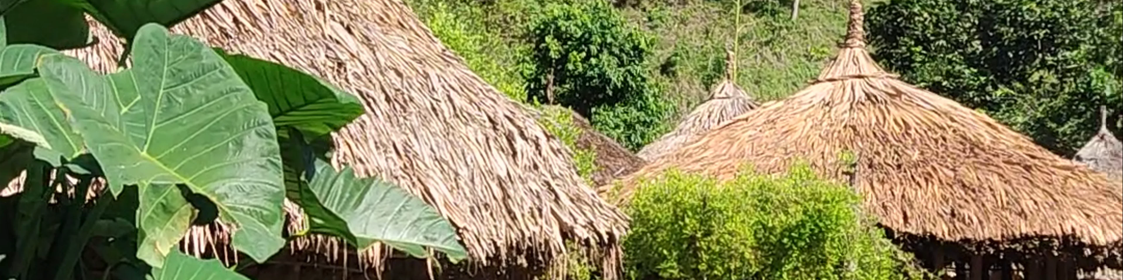 Ciudad Perdida