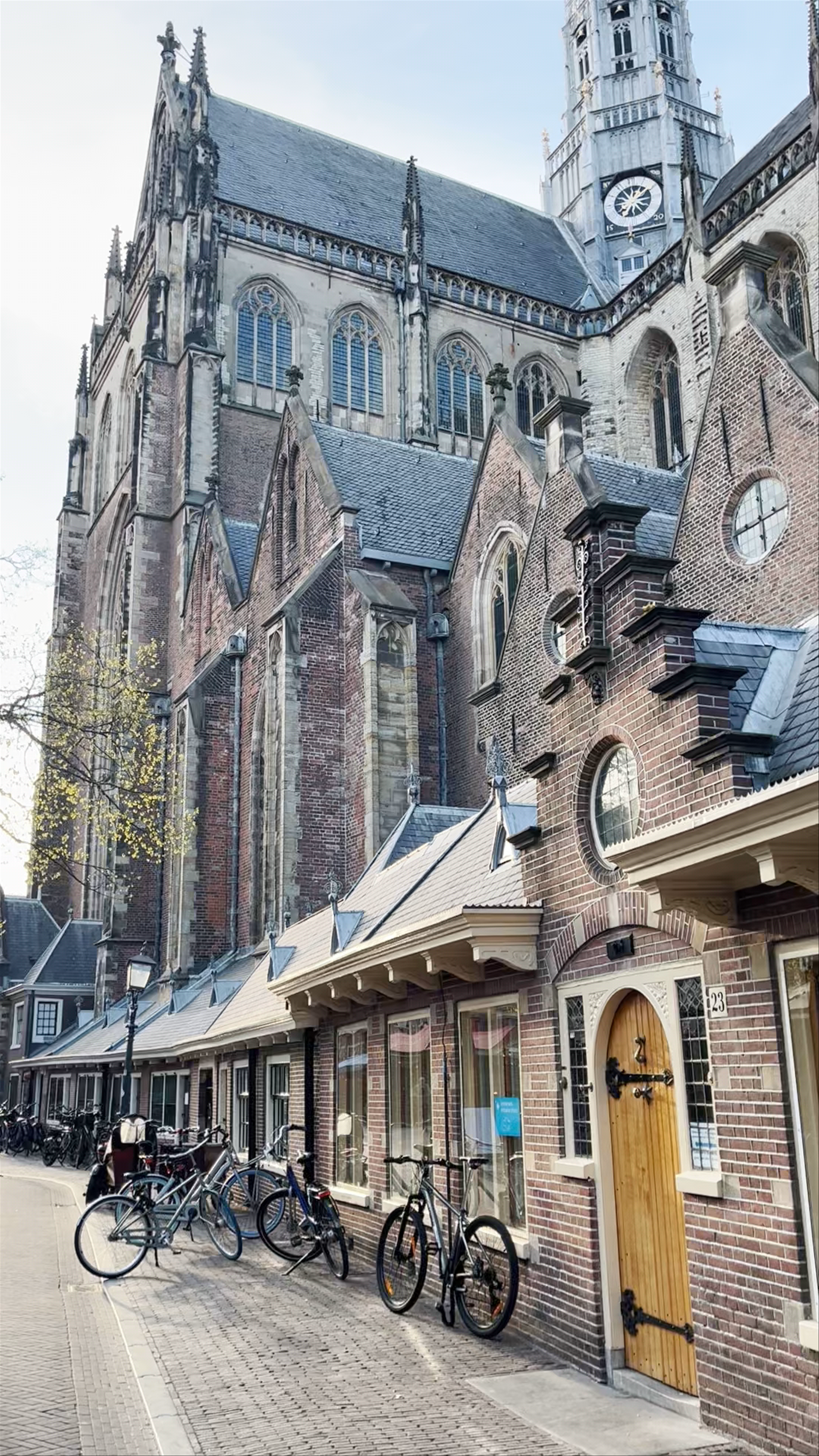 The St. Bavo Church in Haarlem