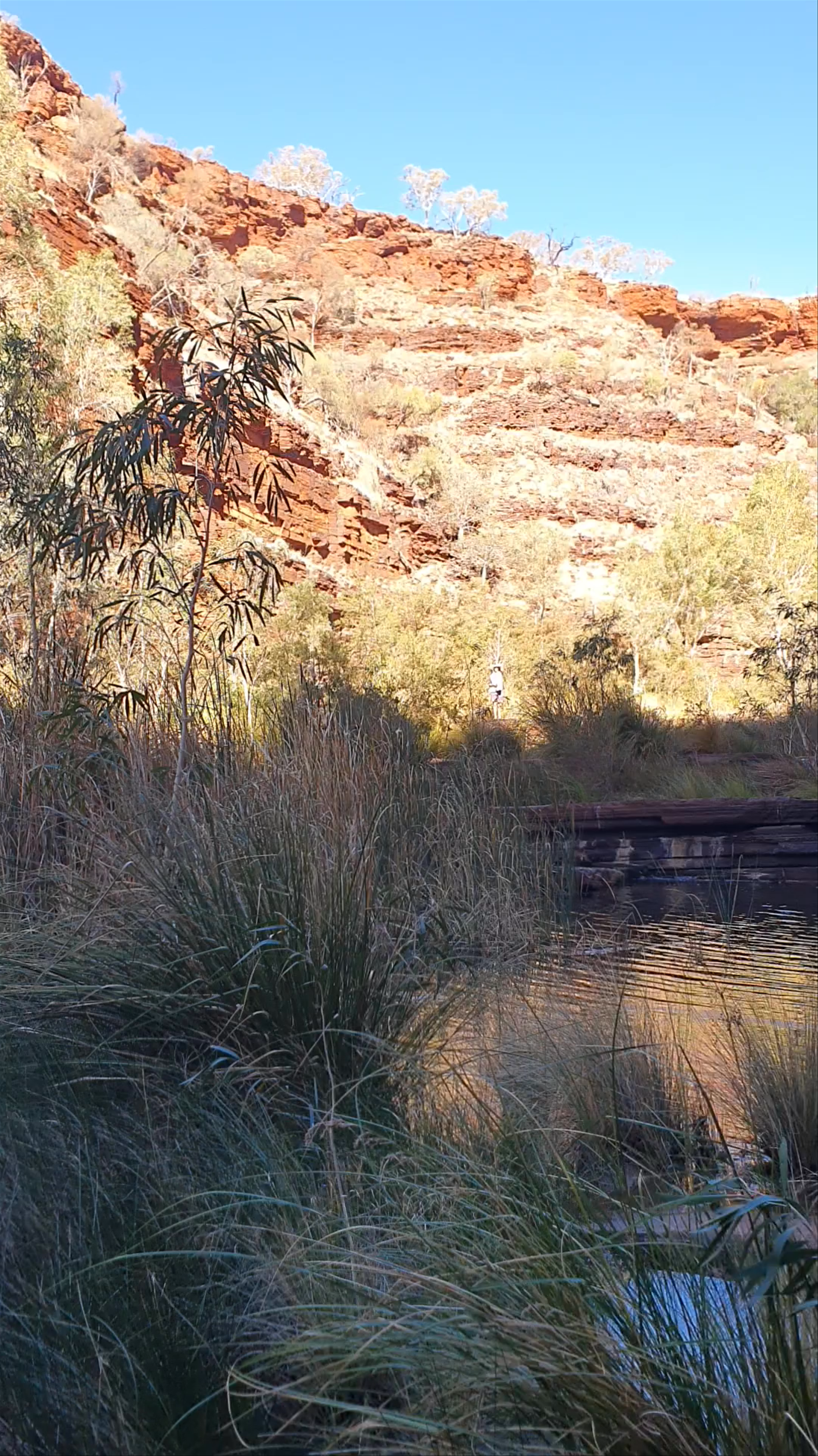 Dales Gorge