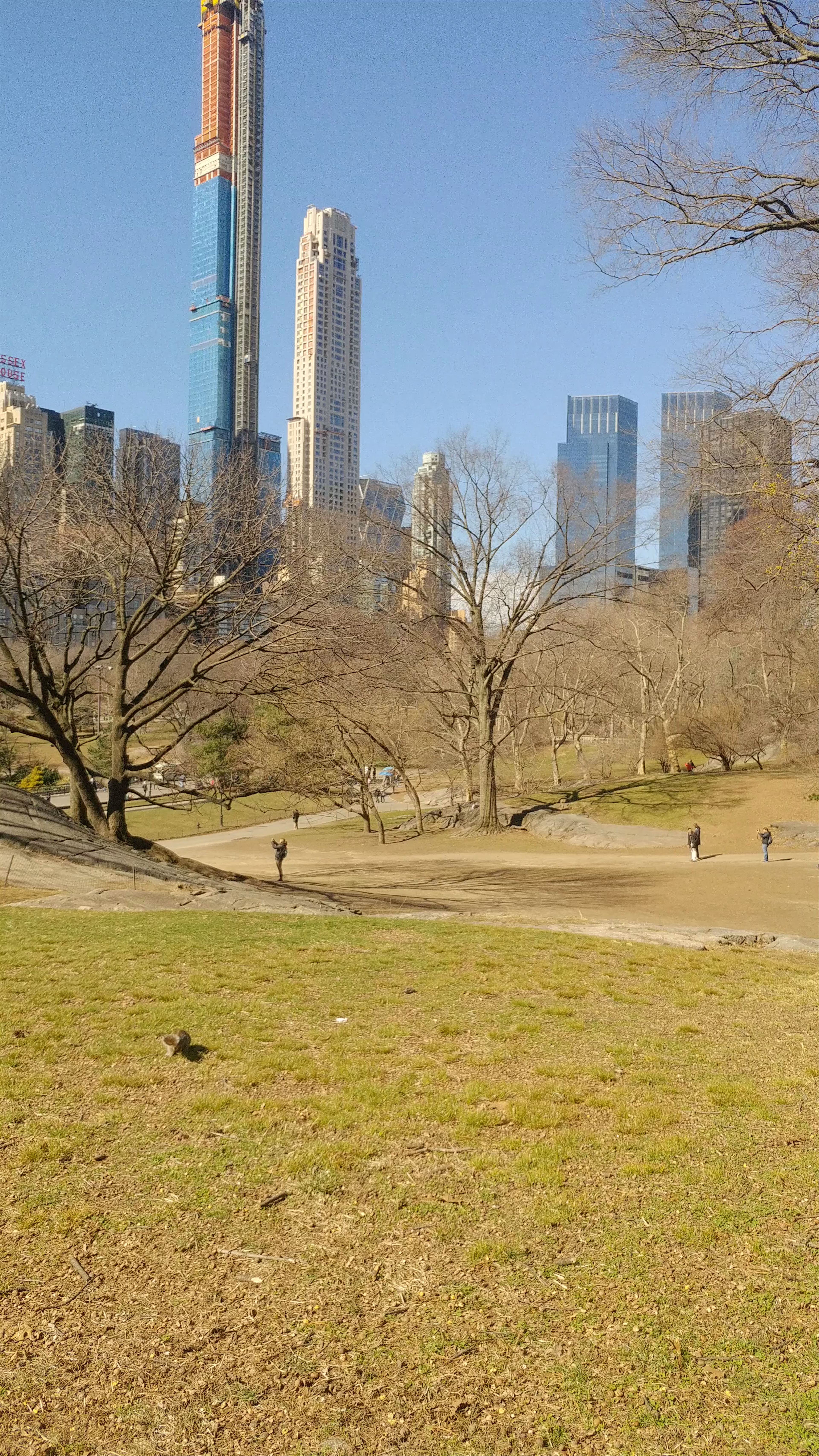 Central Park Winter Stroll with NYC Skyline Views