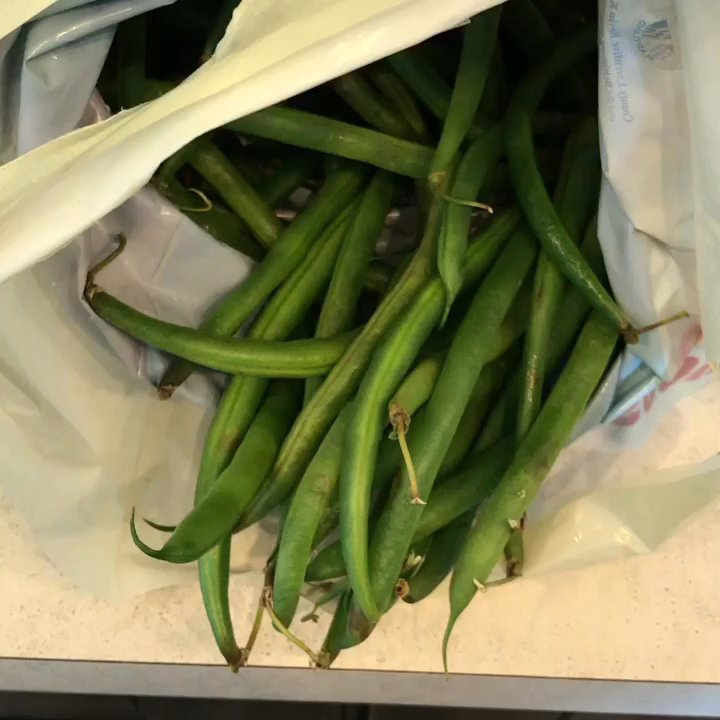 Gather Baltimore - Our first bag, all for $9! Part 1 - Food Banks Near Me - Baltimore, Maryland
