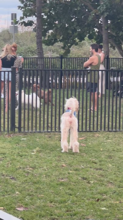 Allison Park - Parks Near Me - Miami Beach, Florida