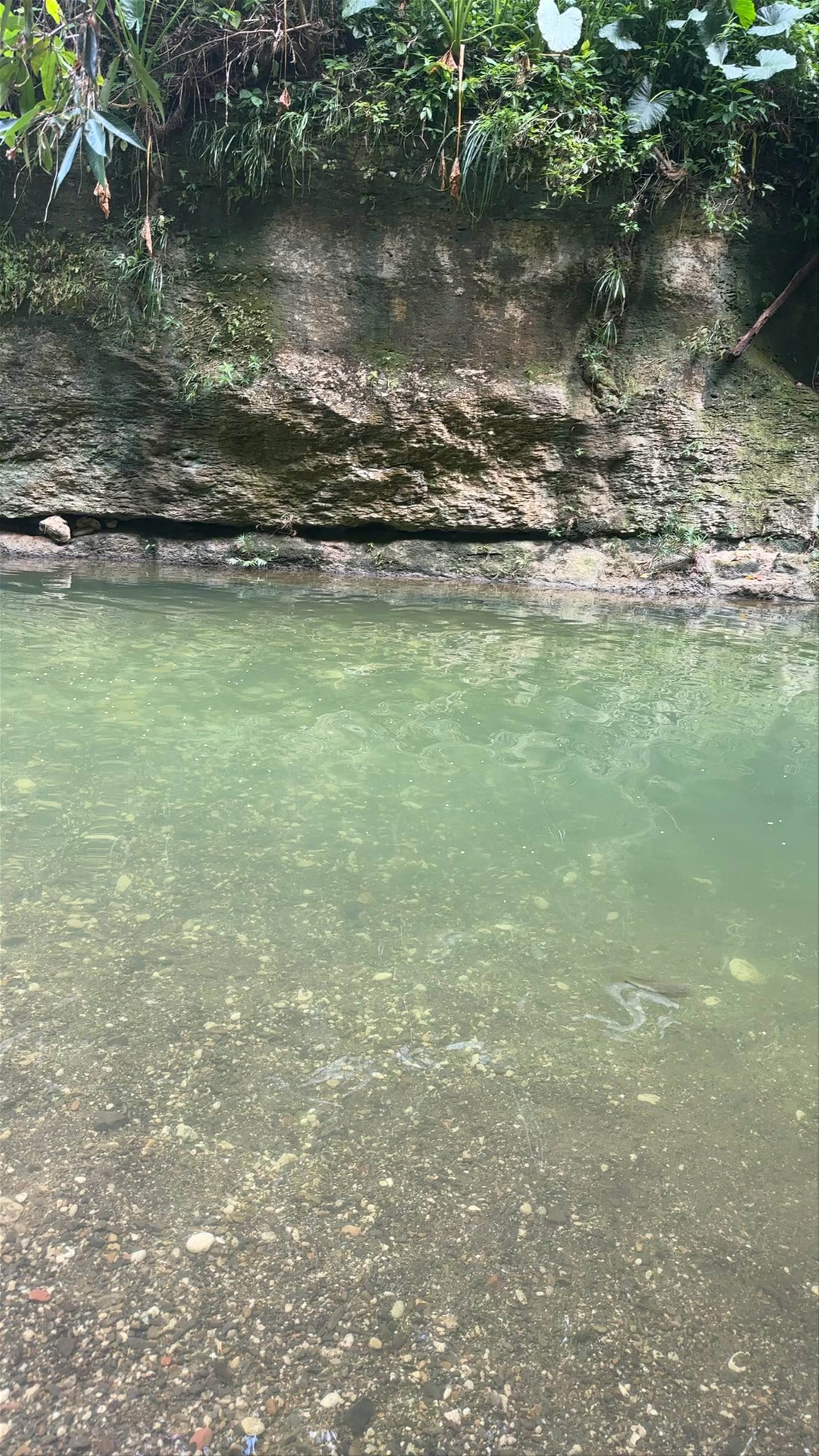 Charco Azul