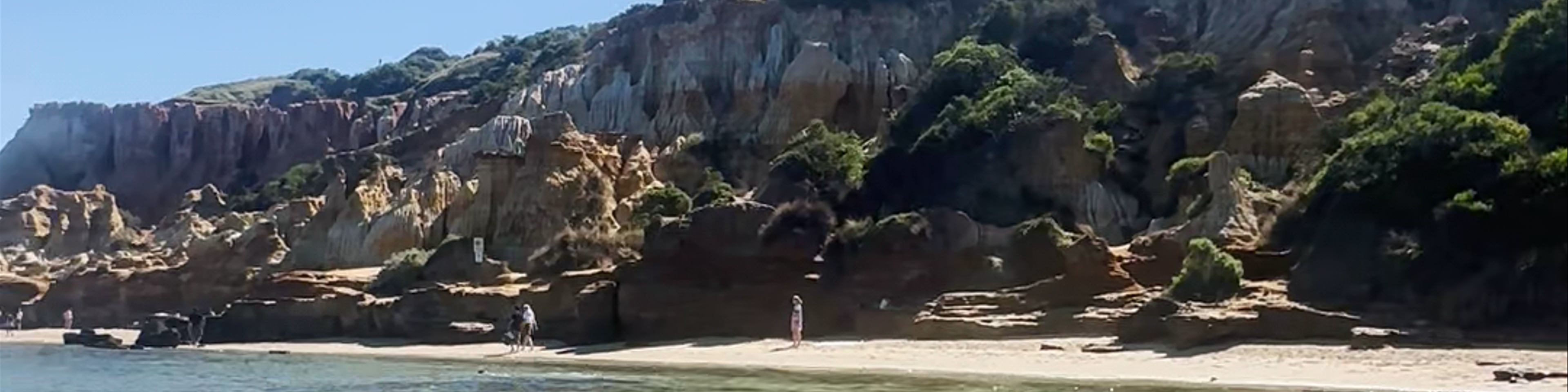 Sandringham Beach